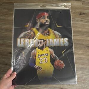 LeBron Bryant Jordan 3D Poster